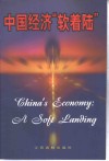 中国经济“软着陆” 封面