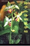 孙子兵法钢笔字帖 封面