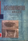 激光与生物组织的相互作用  原理及应用 封面