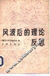 风波后的理论反思 封面
