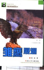 雏鹰展翅 封面
