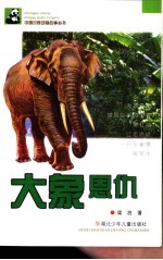 大象恩仇 封面