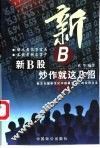 新B股炒作就这几招 教您挖掘新世纪中国最大金矿的实用方法 封面