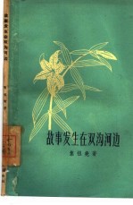 故事发生在双沟河边 封面