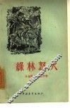 绿林怒火 封面