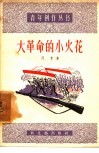 大革命的小火花 封面