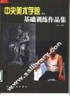 中央美术学院学生基础训练作品集 封面