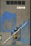 智慧的痛苦 封面