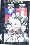 魂殇国民党失势揭秘 封面