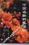 中国名联钢笔字帖 封面