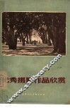 优秀摄影作品欣赏 封面
