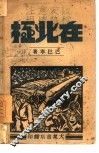 在北极 封面