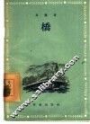 桥 封面