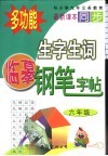 生字生词临摹钢笔字帖  六年级 封面