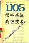 DOS汉字系统高级技术 封面