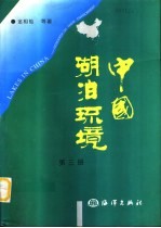 中国湖泊环境 第3册 封面