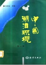 中国湖泊环境 封面