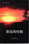 想家的时候 封面
