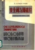 压力容器安全装置  安全阀与爆破片 封面