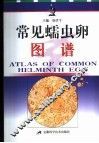 常见蠕虫卵图谱 封面
