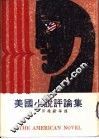 美国小说评论集 封面