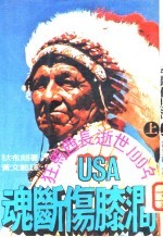 动断伤膝涧  上  美国西部印第安人史 封面