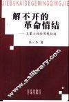 解不开的革命情结：王蒙小说的思想轨迹 封面