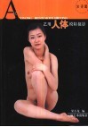 艺用人体模特摄影  坐姿篇 封面