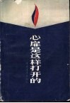 心扉是这样打开的 封面