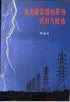 电力避雷器的原理试验与维修 封面