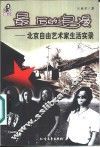 20世纪最后的浪漫  北京自由艺术家生活实录 封面
