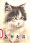 怎样画猫 封面