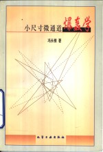 小尺寸微通道爆轰学 封面