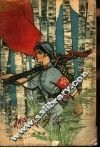椰岛少年  诗体小说 封面