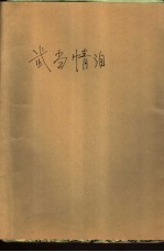 武当情泪 封面