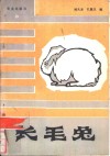 长毛兔 封面