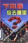 下岗后，你去哪里? 封面