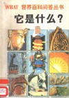 它是什么? 封面