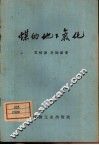 煤的地下气化 封面
