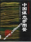 中国煤岩学图鉴 封面