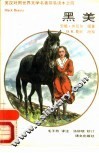 黑美 封面