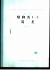 四川自贡大山铺中侏罗世恐龙动物群  第3集  蜥脚类  1  蜀龙 封面
