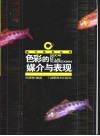 色彩的媒介与表现 封面