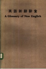 英语新辞辞汇 封面