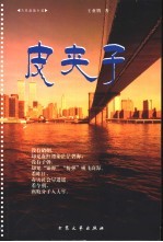 皮夹子  当代商战小说 封面