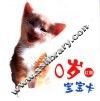 0岁宝宝卡  红版 封面