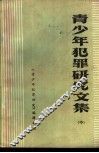 青少年犯罪研究文集  中 封面