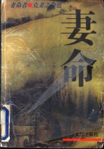 妻命 封面