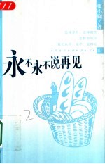 永不永不说再见 封面