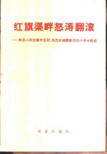 红旗渠畔怒涛翻滚  林县人民在集中批邓、反击右倾翻案风的斗争中前进 封面